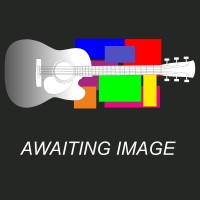 Additional Services Cost from Chris Alsop Guitar Guitar 