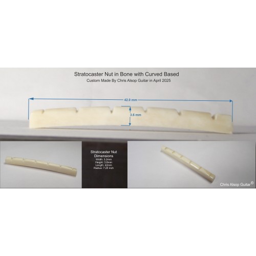 Stratocaster Curved Based Nut in Bone