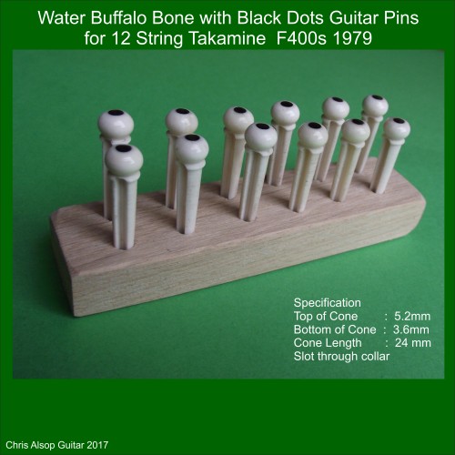 Takamine F400-s 12 String Guitar Pins