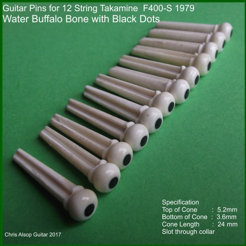 Takamine F400-s 12 String Guitar Pins