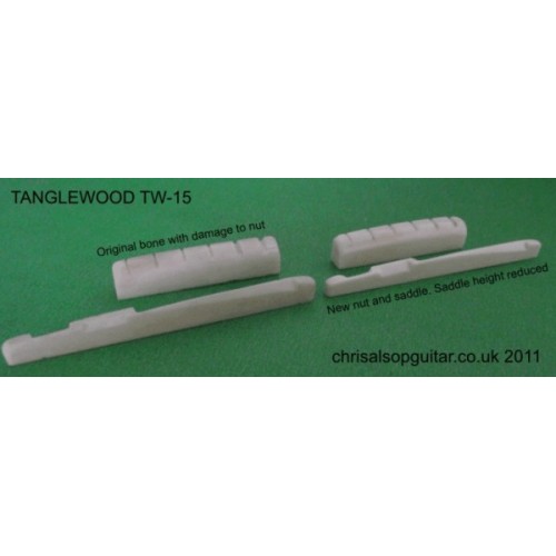 TANGLEWOOD TW-15