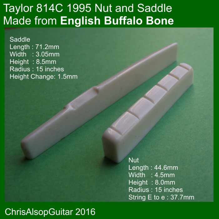 Taylor 2025 bone saddle