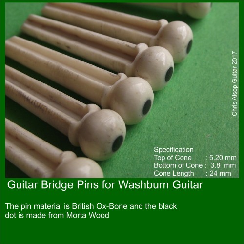 Washburn Guitar Pins in Bone